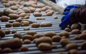 Pourquoi se lancer dans le secteur agroalimentaire ?