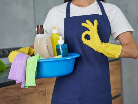 Quels produits professionnels pour nettoyer et protéger la maison ?